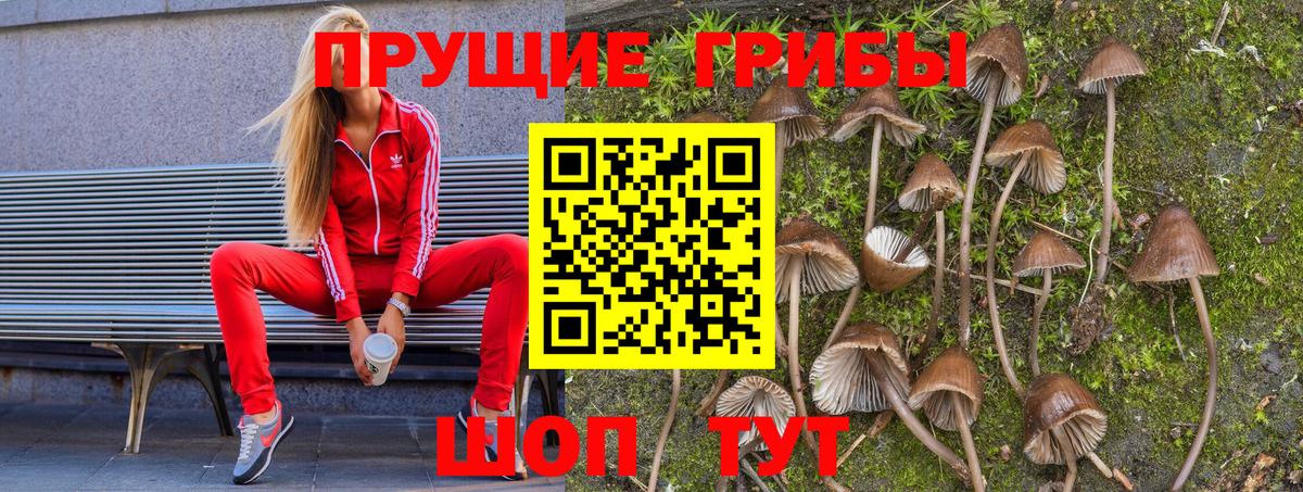 Галлюциногенные грибы Cubensis Белгород